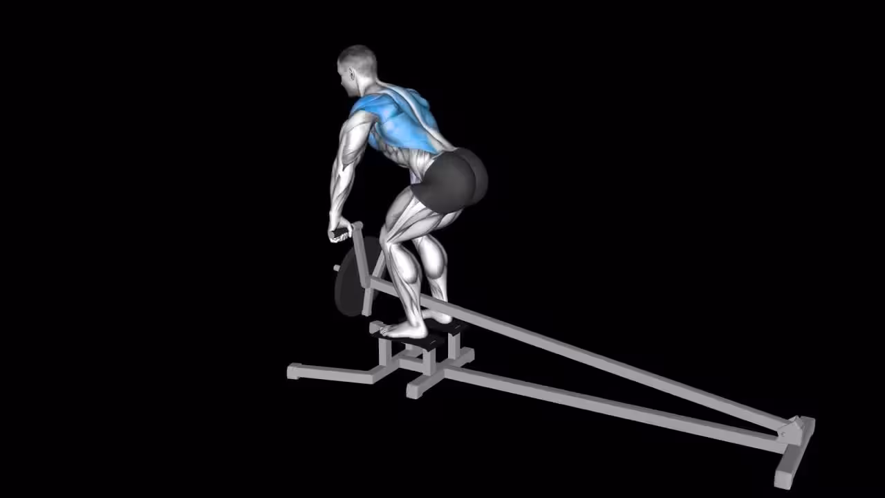 T杠划船