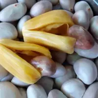 『菠萝蜜子』营养价值 | 每100g营养成分表