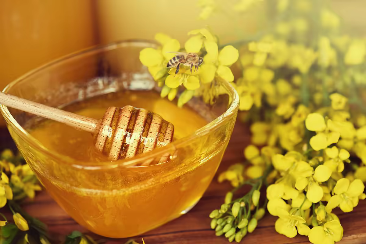 蜂蜜(油菜花)