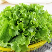 『生菜(叶用莴苣)』营养价值 | 每100g营养成分表
