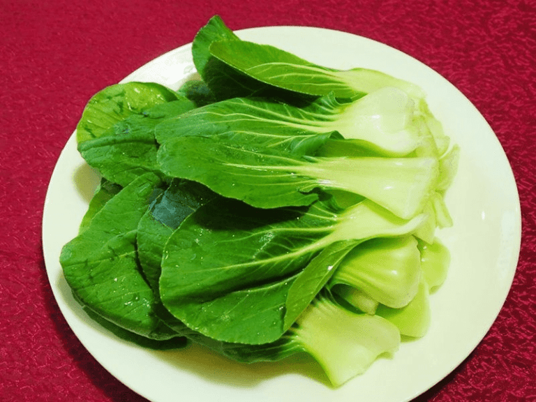 瓢儿白[瓢儿菜]