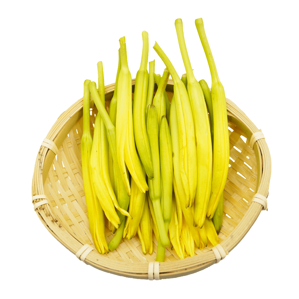 金针菜[黄花菜]
