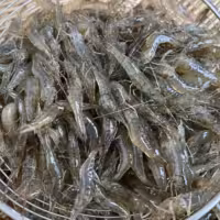 『塘水虾[草虾]』营养价值 | 每100g营养成分表