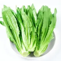 『生菜(牛俐)[油麦菜]』营养价值 | 每100g营养成分表