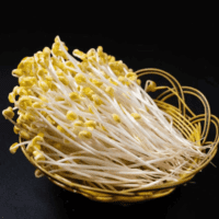 『绿豆芽』营养价值 | 每100g营养成分表