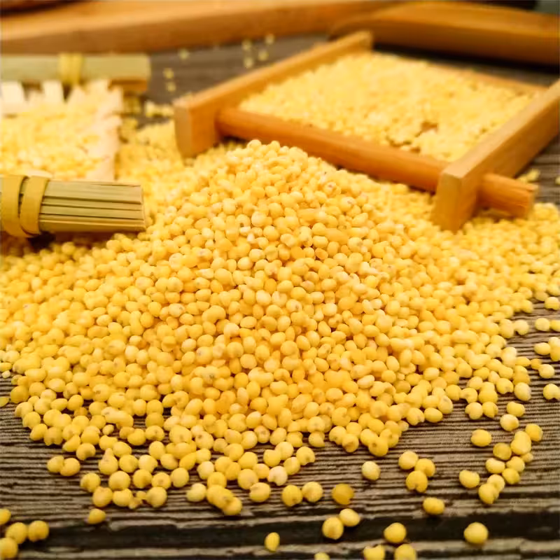 『大黄米[黍子]』营养价值 | 每100g营养成分表