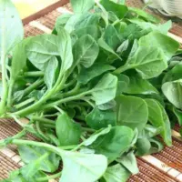 『番杏[夏菠菜，新西兰菠菜]』营养价值 | 每100g营养成分表