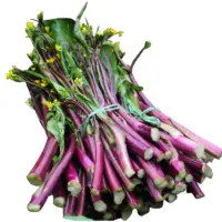 『油菜薹[菜薹]』营养价值 | 每100g营养成分表