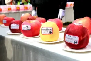 『金元帅苹果』营养价值 | 每100g营养成分表