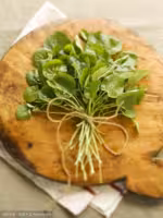 『豆瓣菜[西洋菜，水田芥](鲜)』营养价值 | 每100g营养成分表