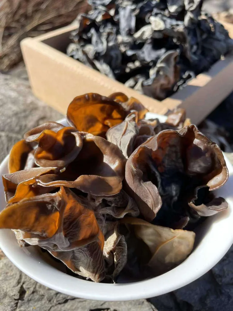 木耳(水发)[黑木耳，云耳]