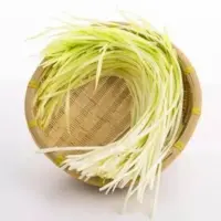 『韭黄[韭芽]』营养价值 | 每100g营养成分表