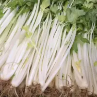 『芹菜(白茎)[旱芹，药芹]』营养价值 | 每100g营养成分表