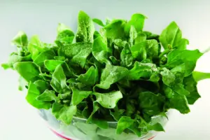 『番杏[新西兰菠菜、夏菠菜]』营养价值 | 每100g营养成分表