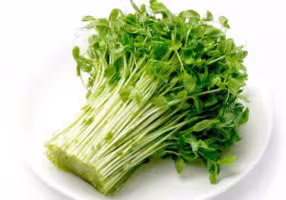 『豌豆苗』营养价值 | 每100g营养成分表