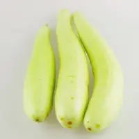 『菜瓜[生瓜，白瓜]』营养价值 | 每100g营养成分表