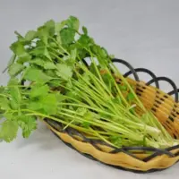 『香菜[芫荽](鲜)』营养价值 | 每100g营养成分表