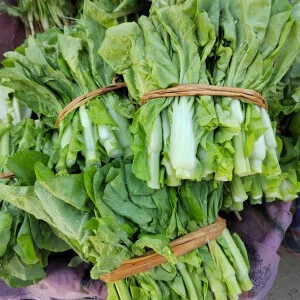 白菜薹[菜薹，菜心]