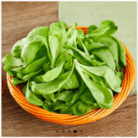 『茼蒿[蓬蒿菜，艾菜](鲜)』营养价值 | 每100g营养成分表