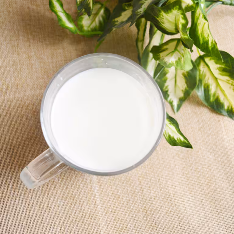 『早餐奶』营养价值 | 每100g营养成分表