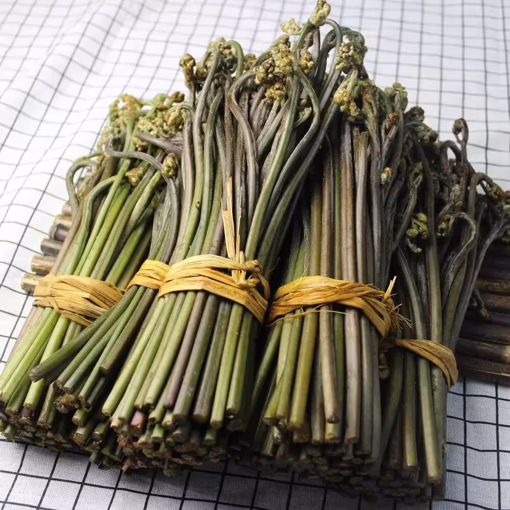 蕨菜[龙头菜，如意菜](鲜)