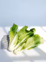 『小白菜』营养价值 | 每100g营养成分表