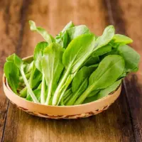 『鸡毛菜』营养价值 | 每100g营养成分表