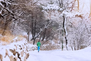 冬天跑步的好处和弊端