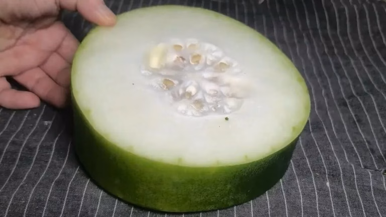 冬瓜怎么做最好吃？简单做法，软糯鲜香，入味又下饭