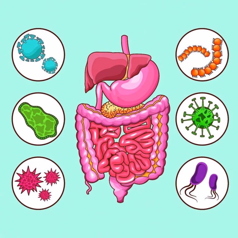 肠道微生物群如何影响身体健康?
