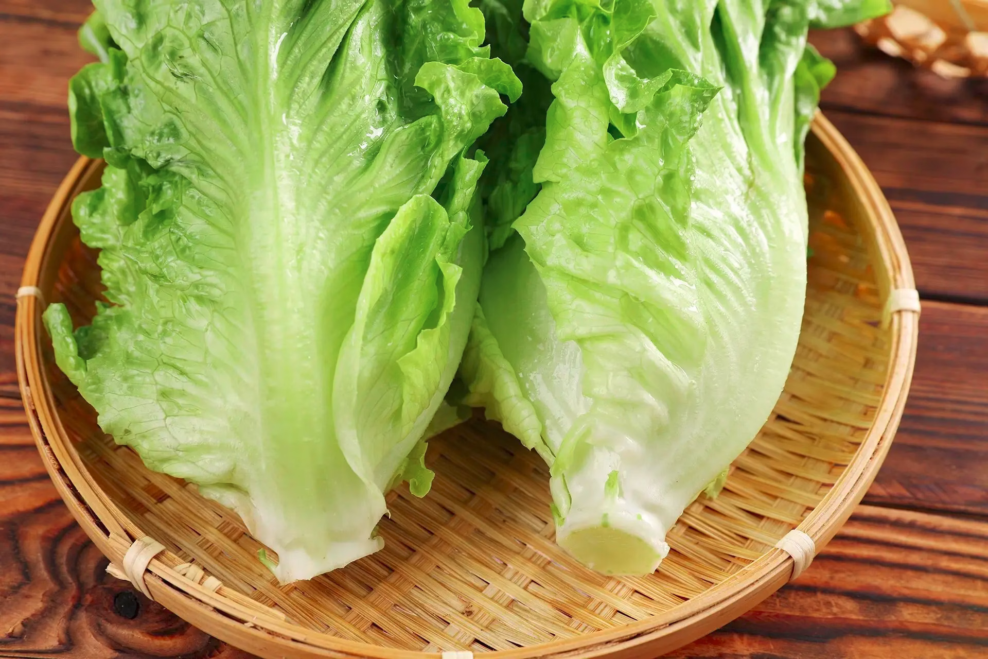 生菜