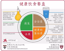 健康减肥指南：从底层逻辑到实操，助你科学瘦身不反弹