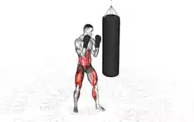 踢拳术（Kickboxing）正确姿势