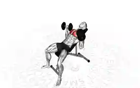 斜面哑铃卧推（Incline Dumbbell Bench Press）正确姿势