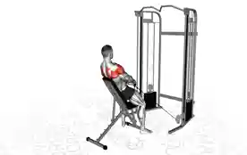 绳索上斜Y字提拉背部支撑(Cable Incline Y Raise Back Supported)正确姿势 绳索上斜Y字提拉背部支撑