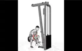绳索下蹲弯举（Cable Squatting Curl）正确姿势