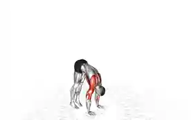 倒立俯卧撑(Handstand Push-Up)正确姿势 倒立俯卧撑