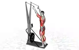 滑雪测功仪（Ski Ergometer）正确姿势