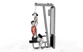 绳索反握下拉(Cable Reverse Grip Pulldown)正确姿势 绳索反握下拉