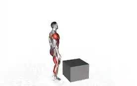 单腿箱跳
