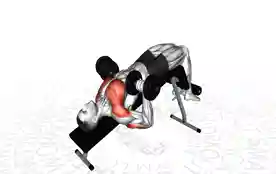 下斜哑铃卧推(Decline Dumbbell Bench Press)正确姿势 下斜哑铃卧推