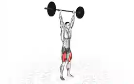 杠铃过头深蹲（Barbell Overhead Squat）正确姿势