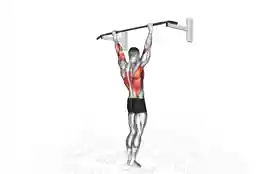 宽握引体向上(Pull-Up Wide Grip)正确姿势 宽握引体向上