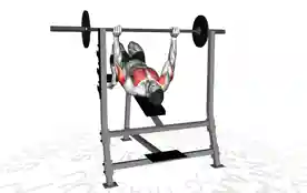 下斜杠铃卧推(Decline Barbell Bench Press)正确姿势 下斜杠铃卧推
