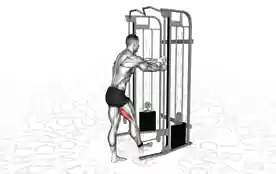 单腿绳索腿弯曲(Single-Leg Cable Leg Curl)正确姿势 单腿绳索腿弯曲
