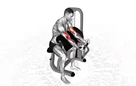 器械牧师弯举（Machine Preacher Curl）正确姿势