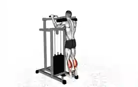站姿提踵(Machine Calf Raises)正确姿势 站姿提踵