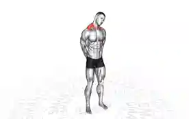 颈部侧向拉伸(Neck Side Stretch)正确姿势 颈部侧向拉伸