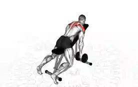 哑铃上斜T字提拉(Dumbbell Incline T Raise)正确姿势 哑铃上斜T字提拉
