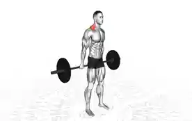 杠铃背后耸肩(Barbell Shrug Behind The Back)正确姿势 杠铃背后耸肩
